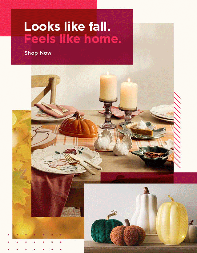 looks like fall. feels like home. shop now.