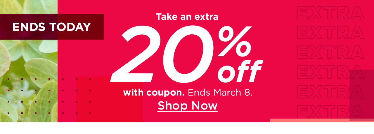 take an extra 20% off with coupon