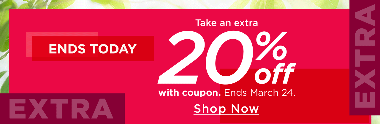 take an extra 20% off with coupon