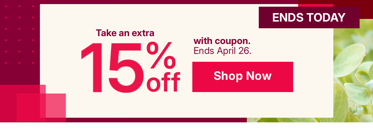 take an extra 15% off with coupon