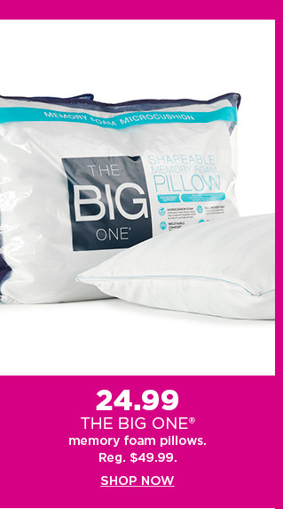 24.99 the big one memory foam pillows.  shop now.