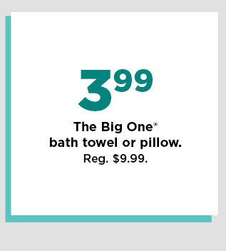 3.99 the big one bath towel or pillow.  shop now.