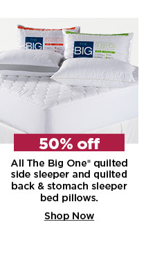 50% off the big one quilted sleeper bed pillows. shop now.