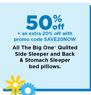 50% off plus take an extra 20% off with promo code SAVE20NOW on select the big one pillows. shop now. 