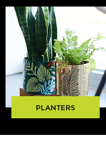 shop planters and stands