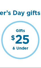 gifts $25 and under.