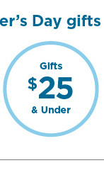 gifts $25 and under.