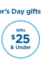 gifts $25 and under.