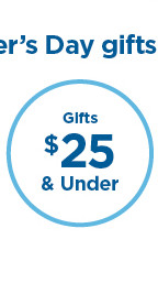 gifts $25 and under for dad.