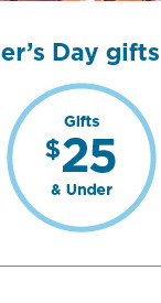 gifts $25 and under.