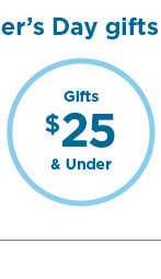 gifts $25 and under.