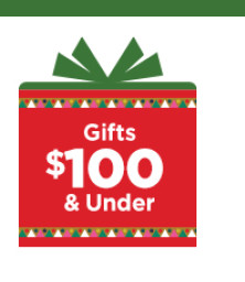 $100 and under gifts for kids.