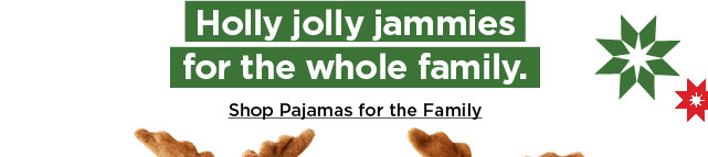 shop pajamas for the family
