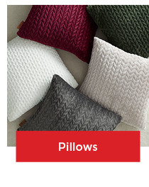 shop throw pillows