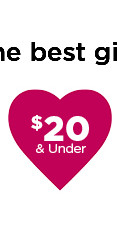 $20 and under valentines day gifts. shop now.