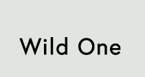 shop wild one