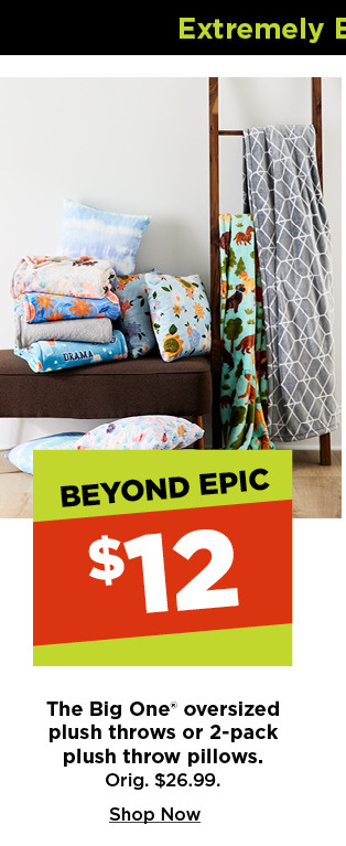 $12 the big one oversized plush throws or 2 pack plush throw pillows. shop now.