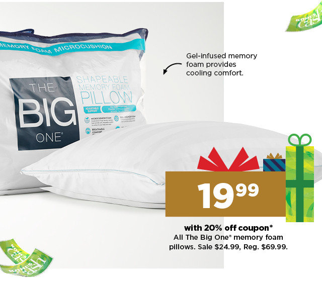 19.99 with 20% off coupon the big one memory foam pillows. sale 24.99.