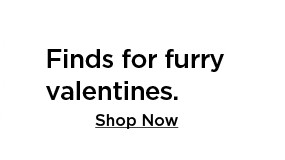 finds for furry valentines. shop now.