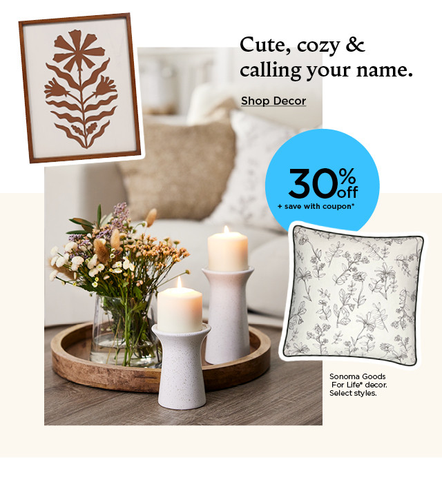 30% off plus save with coupon on Sonoma Goods For Life decor. Select styles. Shop decor.