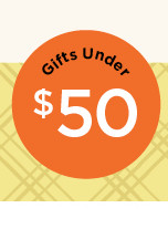 gifts under $100