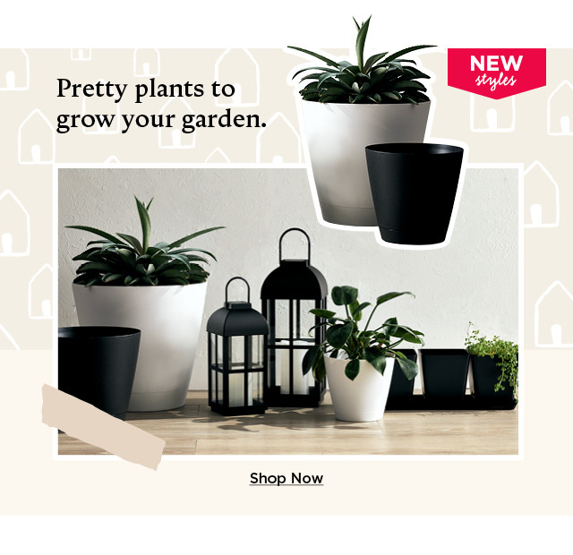Pretty plants to grow your garden. Shop now.