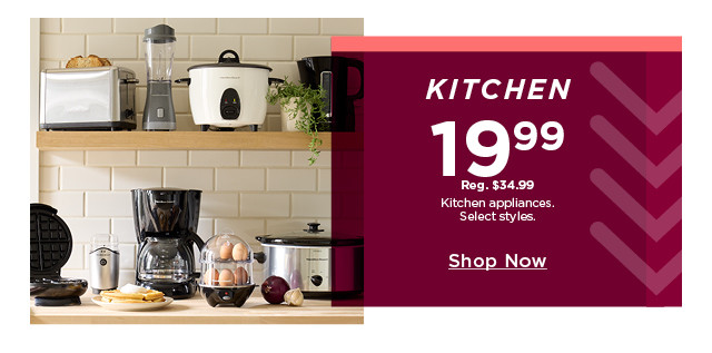 $19.99 kitchen appliances