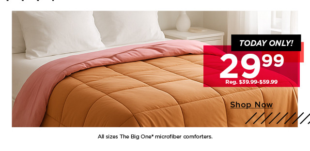 $29.99 all sizes of the big one microfiber comforters
