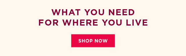 shop now