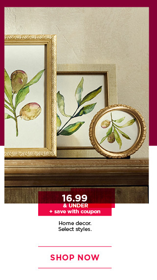 $16.99 and under home decor