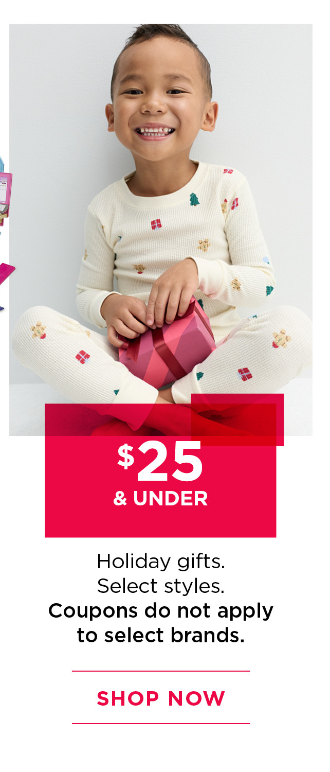 $25 and under holiday gifts