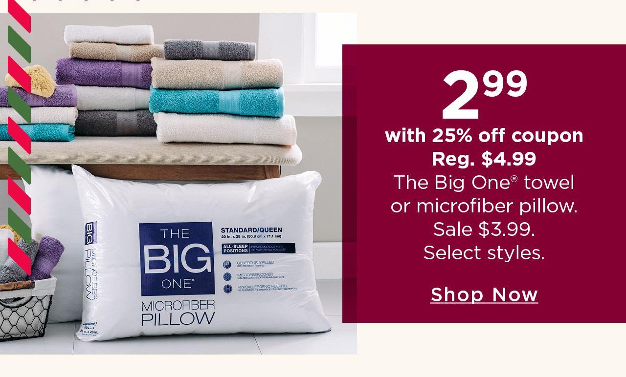 $2.99 with 25% off coupon the big one towel or microfiber pillow