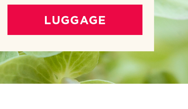 luggage