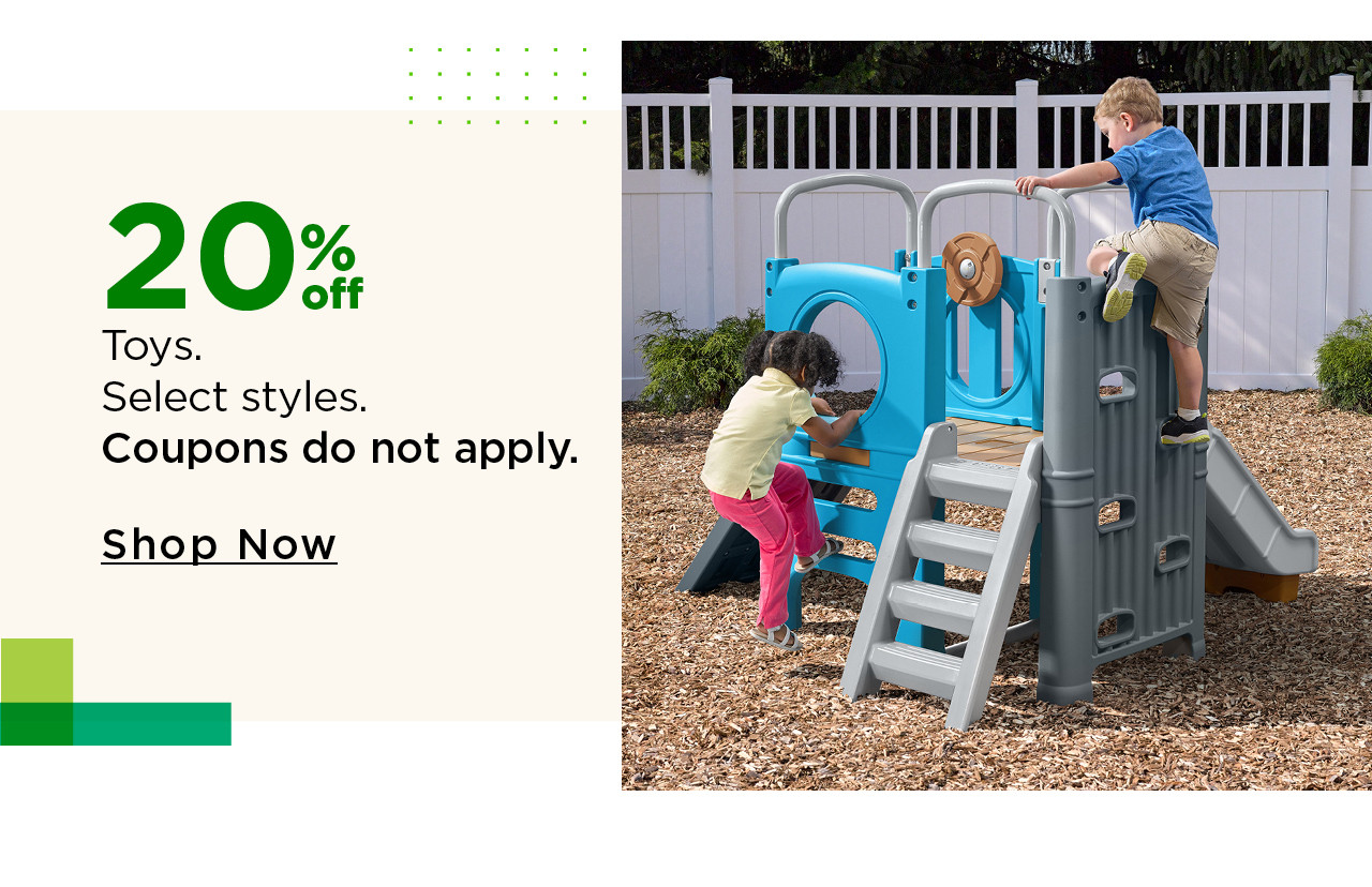 20% off toys