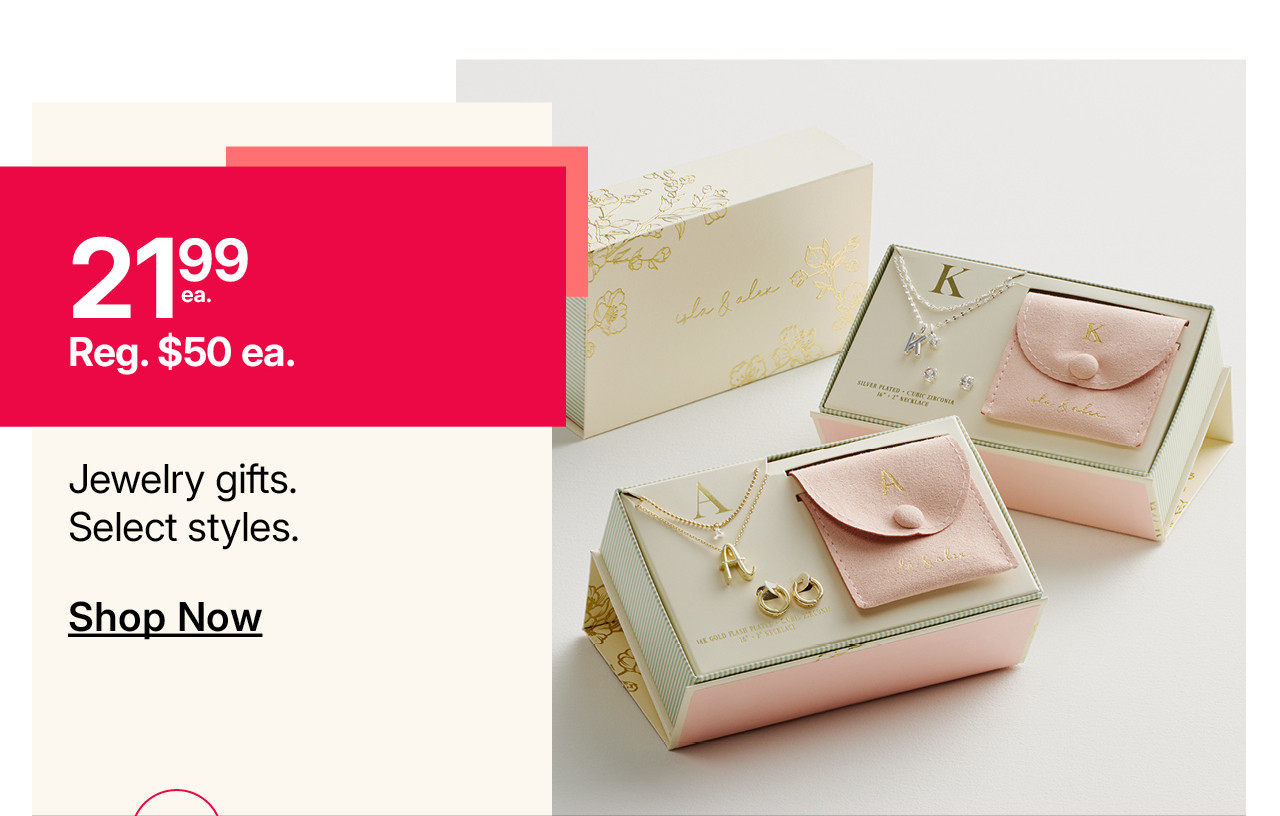 $21.99 jewelry gifts