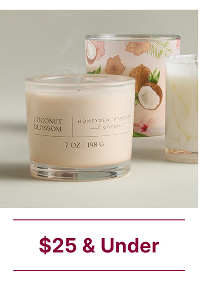 $25 and under