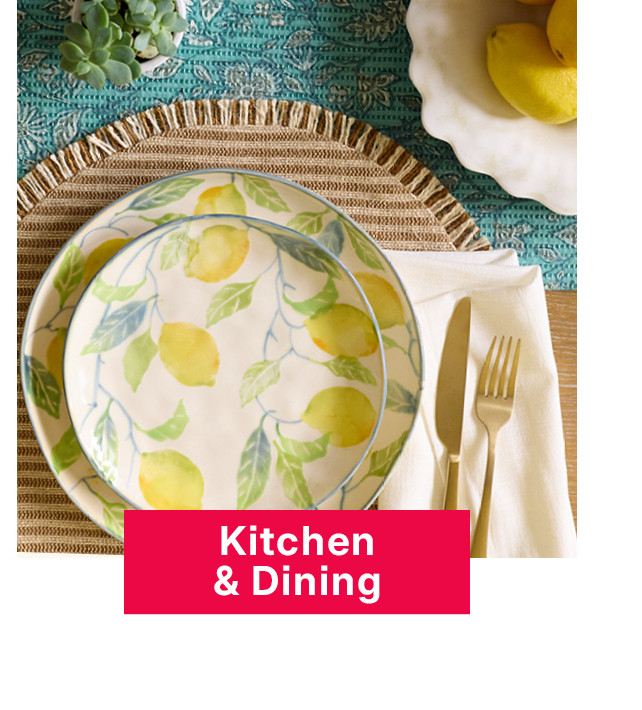 kitchen and dining