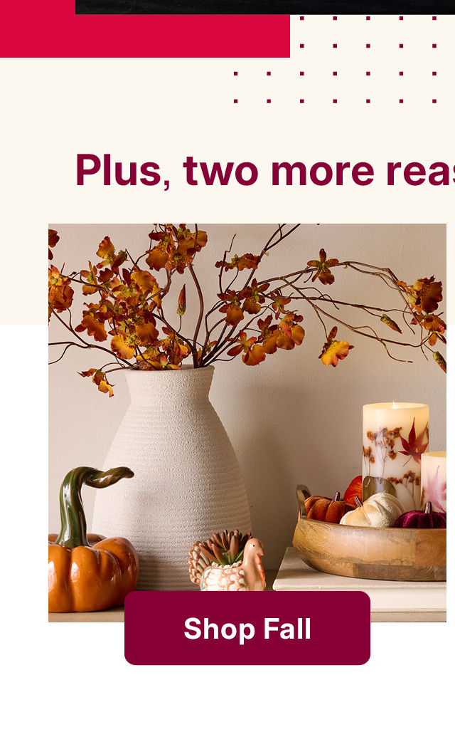 shop fall