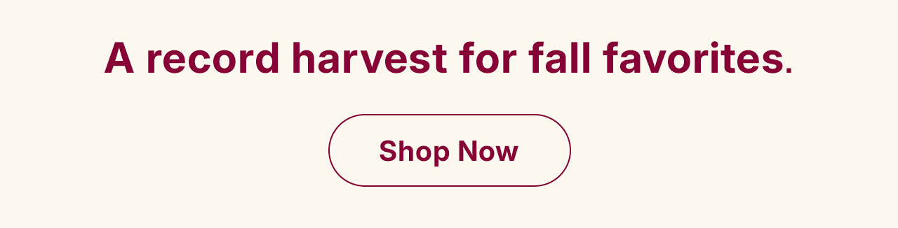 shop now