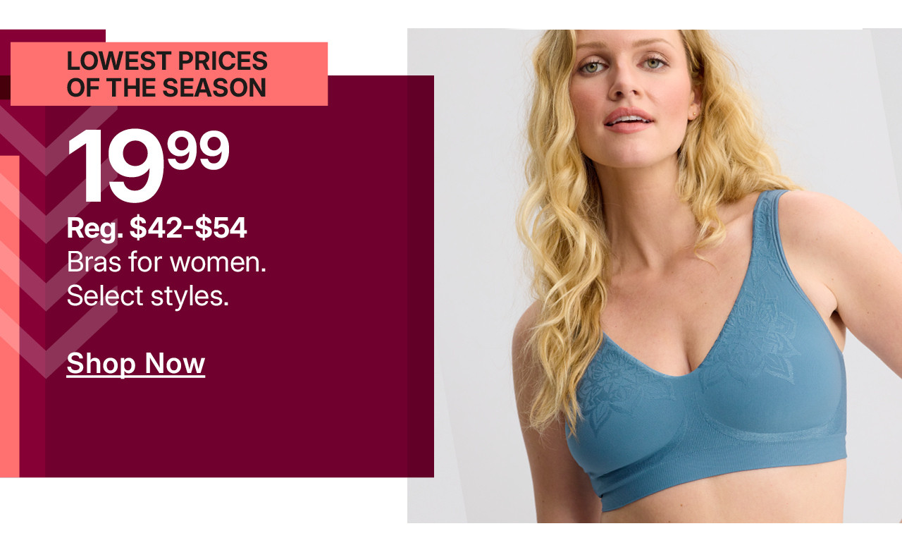 $19.99 bras for women