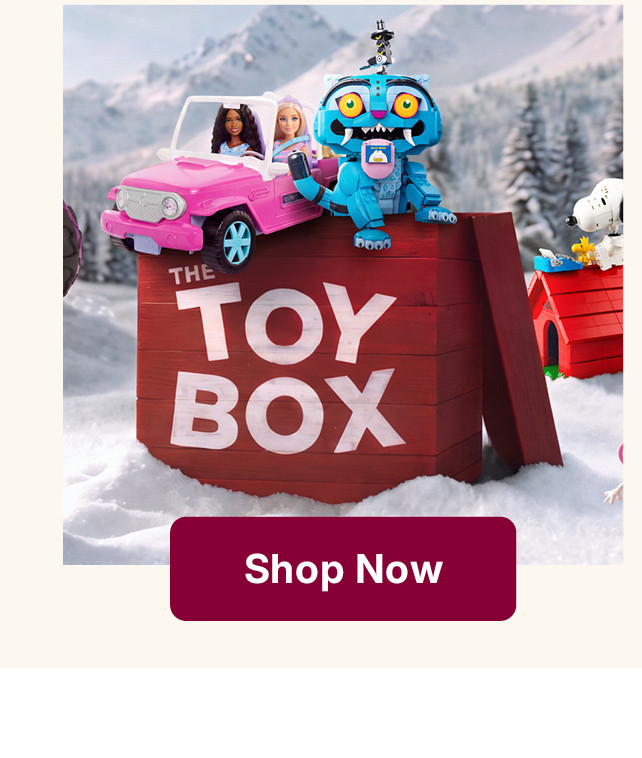 shop toy box